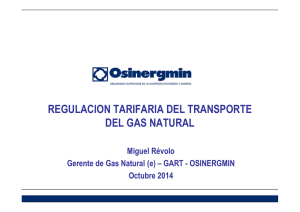 regulacion tarifaria del transporte del gas natural