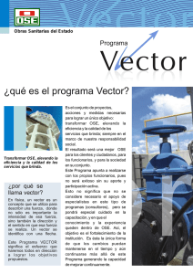 ¿qué es el programa Vector?