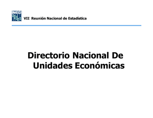 Directorio Nacional De Unidades Económicas