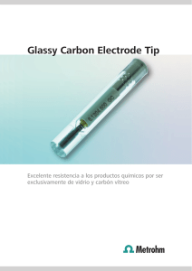 Glassy Carbon Electrode Tip