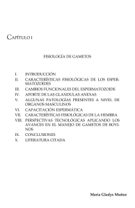 Capítulo I: Fisiología de gametos.