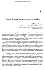 “La caña de azúcar”: una opción para el ganadero