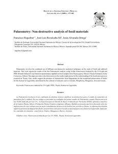 Palaeometry: Non-destructive analysis of fossil materials