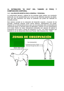 I.4. ESTIMACIÓN “IN VIVO” DEL TAMAÑO (O PESO) Y