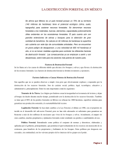 la destrucción forestal en méxico