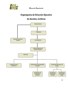 Organigrama de Dirección Ejecutiva de Asuntos Jurídicos