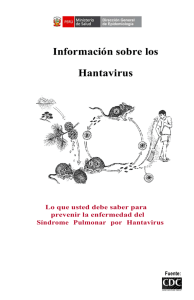 Información sobre los Hantavirus