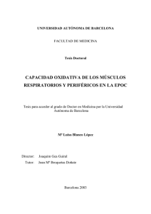 capacidad oxidativa de los músculos