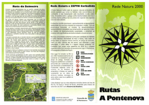 Descargar tríptico da Ruta