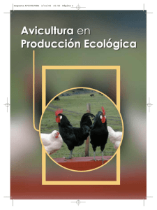 Avicultura en producción ecológica. Asociación CAAE. Ed