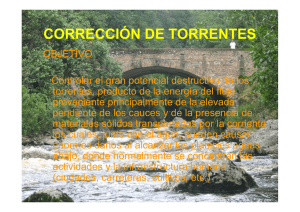 CORRECCIÓN DE TORRENTES