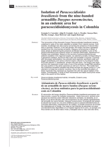 Isolation of Paracoccidioides brasiliensis from the nine