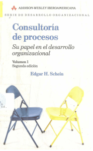 ¿Qué es consultoría de procesos?