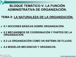 8.2 mecanismos de coordinación y partes de la organización.