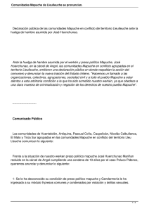 Comunidades Mapuche de Lleulleuche se pronuncian.