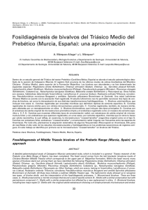 Fosildiagénesis de bivalvos del Triásico Medio del Prebético