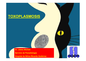 TOXOPLASMOSIS