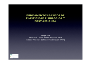 Fundamentos básicos de plasticidad fisiológica y postlesional