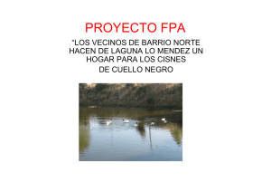 proyecto fpa cisnes bn