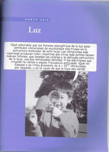 ¡Qué admirable que los fotones energé`rícos de la luz solar