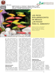 Los peces bioluminiscentes en México: ¿Un riesgo para el ambiente?.