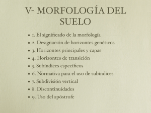 v- morfología del suelo