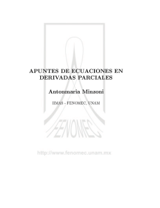 APUNTES DE ECUACIONES EN DERIVADAS - FENOMEC