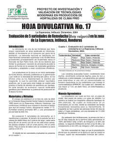 Hoja Divulgativa 17. Evaluación de 5 variedades de remolacha.