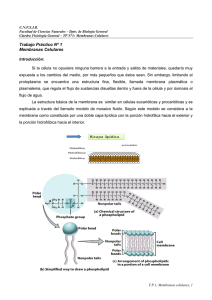 TP Nº 1 Membranas celulares - Facultad de Ciencias Naturales