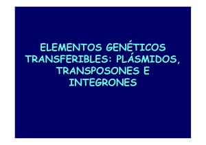 Tema 8. Elementos genéticos transferibles, plásmidos transposones