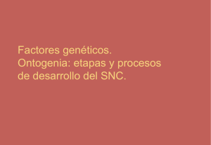 Margulis - Factores genéticos. Ontogenia