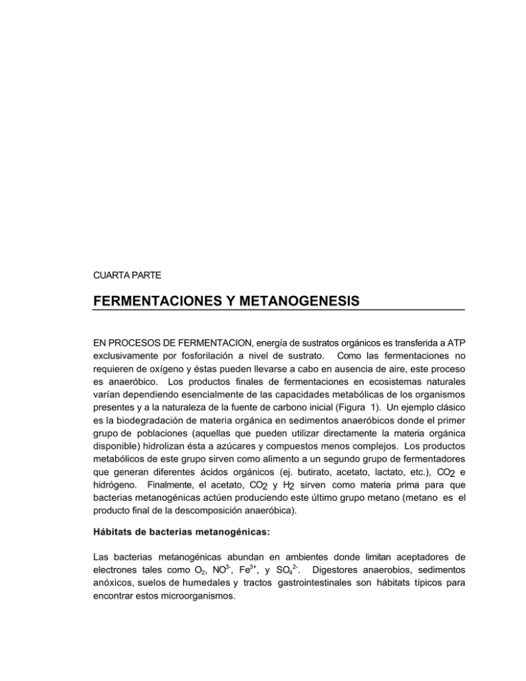 FERMENTACIONES Y METANOGENESIS