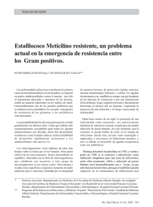 Estafilococos Meticilino resistentes