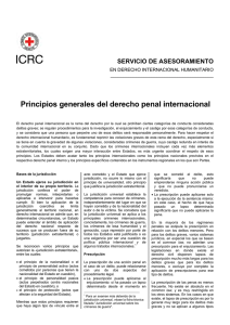 Principios generales del derecho penal internacional
