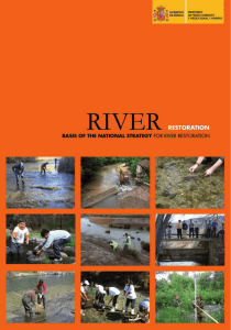 Summary and Future of the National Strategy for River Restoration