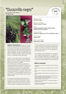 Duraznillo negro - Instituto Plan Agropecuario