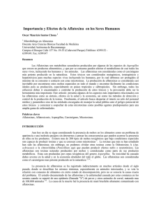 Importancia y Efectos de la Aflatoxina en los Seres Humanos