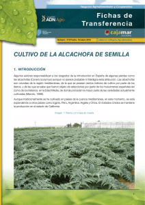 Cultivo de la alcachofa de semilla (PDF 1,53 MB.)