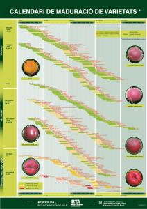 calendari de maduració de varietats