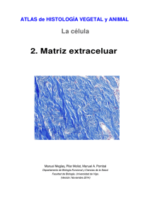 Descargar matriz extracelular en pdf