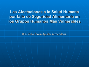 Las Afectaciones a la Salud Humana por falta de Seguridad