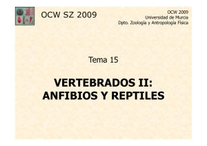 OCWPresTema15 - Universidad de Murcia