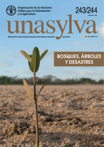 Unasylva: Bosques, árboles y desastres