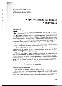 La privatización, sus formas y su proceso (49)