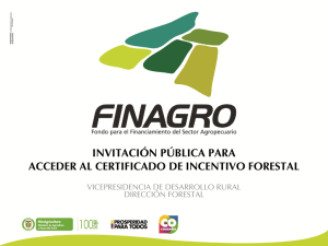 ¿Qué es el Certificado de Incentivo Forestal
