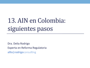 13. AIN en Colombia: siguientes pasos