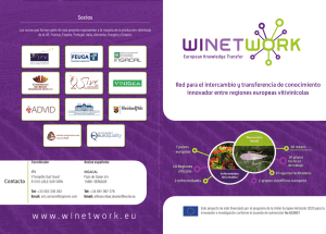 winetwork Leaflet ES