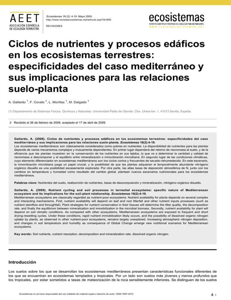 Ciclos De Nutrientes Y Procesos Edáficos En Los Ecosistemas