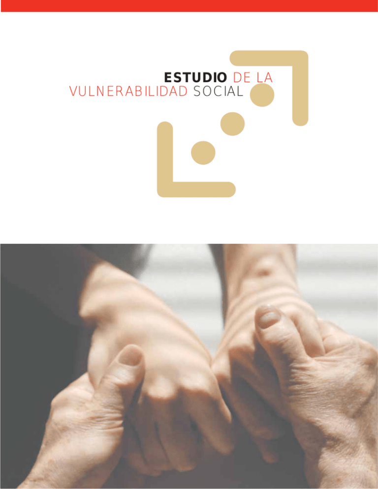 Estudio De La Vulnerabilidad Social