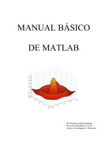 MANUAL BÁSICO DE MATLAB
